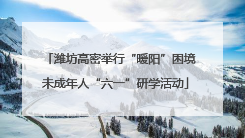 潍坊高密举行“暖阳”困境未成年人“六一”研学活动