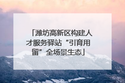 潍坊高新区构建人才服务驿站“引育用留”全场景生态