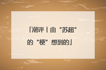 潮评丨由“苏超”的“梗”想到的