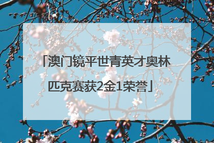 澳门镜平世青英才奥林匹克赛获2金1荣誉