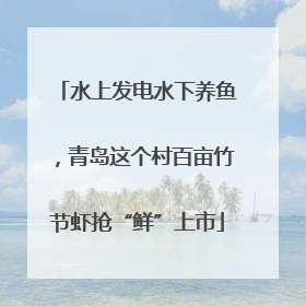 水上发电水下养鱼，青岛这个村百亩竹节虾抢“鲜”上市