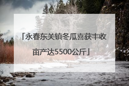 永春东关镇冬瓜喜获丰收 亩产达5500公斤