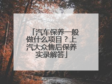 汽车保养一般做什么项目？上汽大众售后保养实录解答