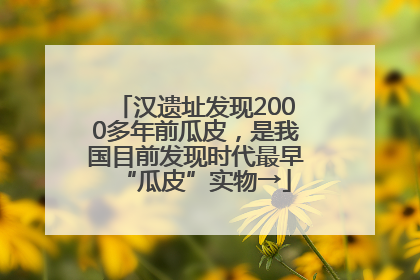汉遗址发现2000多年前瓜皮，是我国目前发现时代最早“瓜皮”实物→