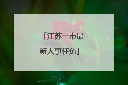 江苏一市最新人事任免