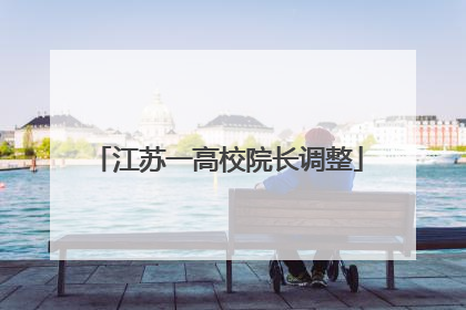 江苏一高校院长调整