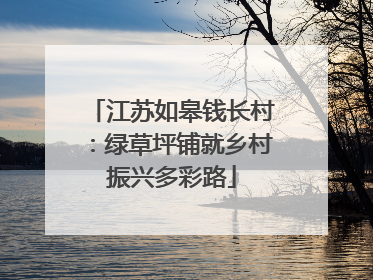 江苏如皋钱长村：绿草坪铺就乡村振兴多彩路