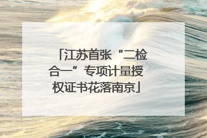 江苏首张“二检合一”专项计量授权证书花落南京
