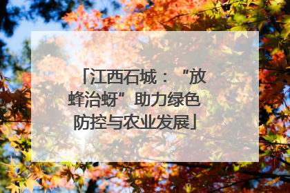 江西石城：“放蜂治蚜”助力绿色防控与农业发展
