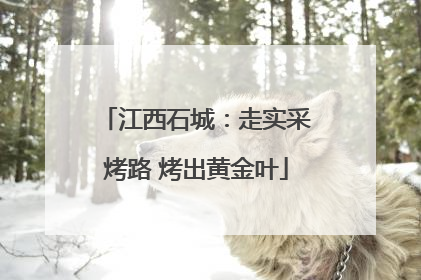 江西石城：走实采烤路 烤出黄金叶