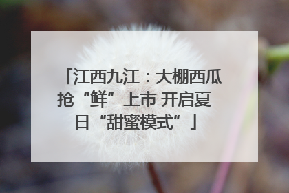 江西九江：大棚西瓜抢“鲜”上市 开启夏日“甜蜜模式”