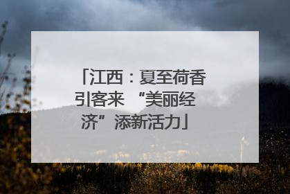 江西：夏至荷香引客来 “美丽经济”添新活力