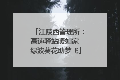 江陵西管理所：高速驿站暖如家 绿波葵花助梦飞