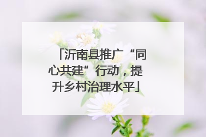 沂南县推广“同心共建”行动，提升乡村治理水平