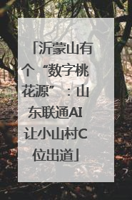 沂蒙山有个“数字桃花源”：山东联通AI让小山村C位出道