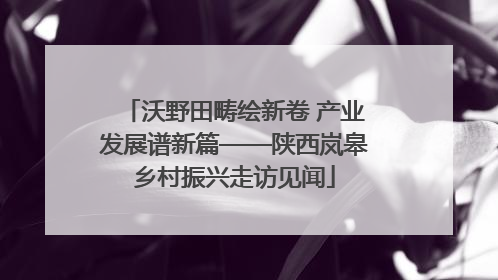 沃野田畴绘新卷 产业发展谱新篇——陕西岚皋乡村振兴走访见闻