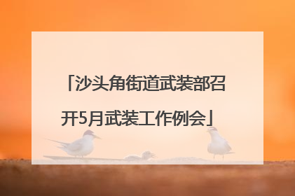 沙头角街道武装部召开5月武装工作例会