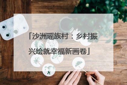 沙洲瑶族村：乡村振兴绘就幸福新画卷