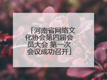 河南省网络文化协会第四届会员大会 第一次会议成功召开