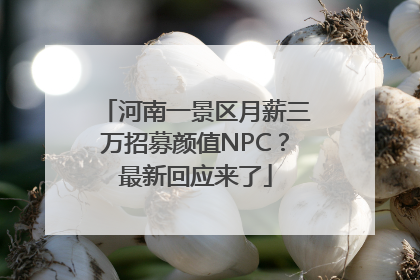 河南一景区月薪三万招募颜值NPC？最新回应来了