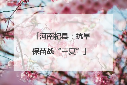 河南杞县：抗旱保苗战“三夏”