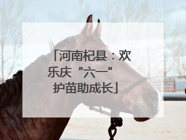 河南杞县：欢乐庆“六一” 护苗助成长