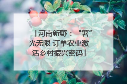 河南新野：“薯”光无限 订单农业激活乡村振兴密码