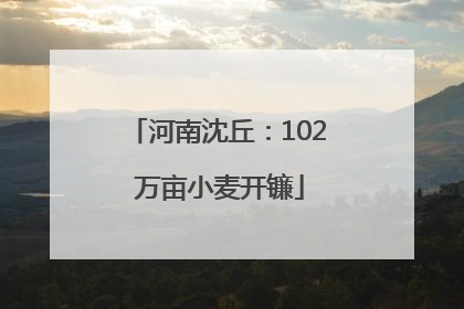 河南沈丘：102 万亩小麦开镰