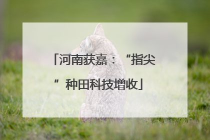 河南获嘉：“指尖”种田科技增收