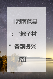 河南范县：“粽子村”香飘振兴路