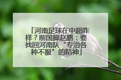 河南足球在中超咋样？前国脚赵鹏：要找回河南队“专治各种不服”的精神