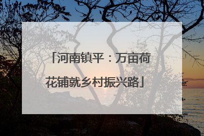 河南镇平：万亩荷花铺就乡村振兴路