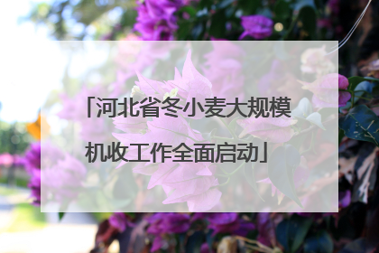河北省冬小麦大规模机收工作全面启动