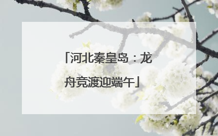 河北秦皇岛：龙舟竞渡迎端午