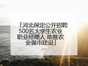 河北保定公开招聘500名大学生农业职业经理人 助推农业强市建设