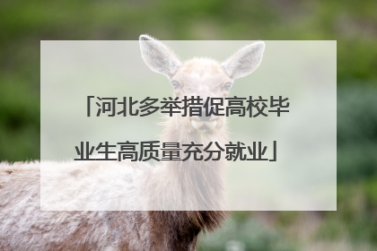 河北多举措促高校毕业生高质量充分就业