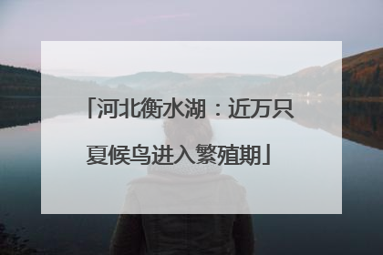 河北衡水湖：近万只夏候鸟进入繁殖期