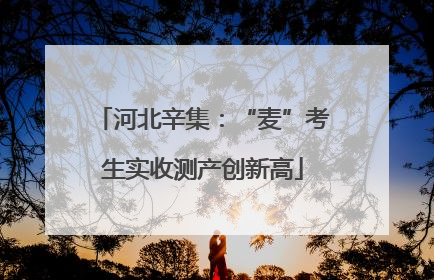 河北辛集：“麦”考生实收测产创新高