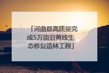河曲县高质量完成5万亩沿黄线生态修复造林工程