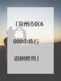 泉州市区6000余株行道树修剪