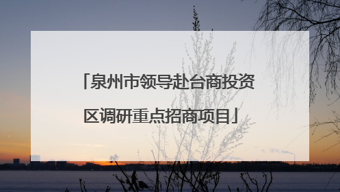 泉州市领导赴台商投资区调研重点招商项目