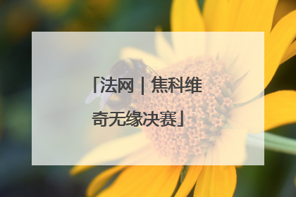 法网｜焦科维奇无缘决赛