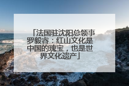 法国驻沈阳总领事罗毅睿：红山文化是中国的瑰宝，也是世界文化遗产