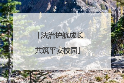 法治护航成长 共筑平安校园