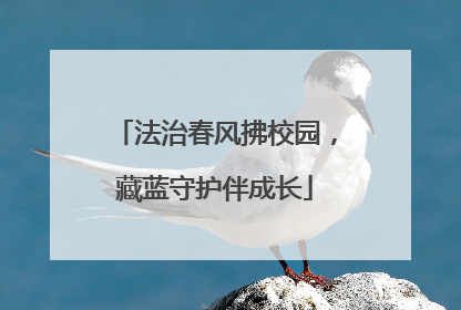 法治春风拂校园，藏蓝守护伴成长