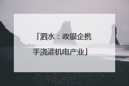 泗水：政银企携手浇灌机电产业