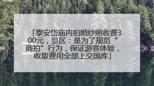 泰安岱庙内拍婚纱照收费300元，景区：是为了规范“商拍”行为，保证游客体验，收取费用全部上交国库