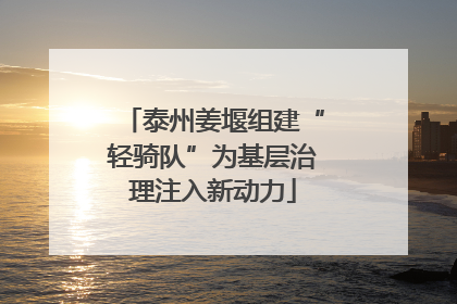 泰州姜堰组建“轻骑队”为基层治理注入新动力