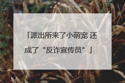 派出所来了小萌宠 还成了“反诈宣传员”