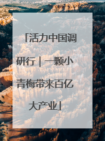 活力中国调研行｜一颗小青梅带来百亿大产业